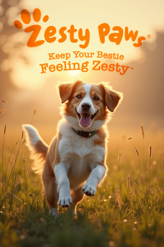 Zestypaws