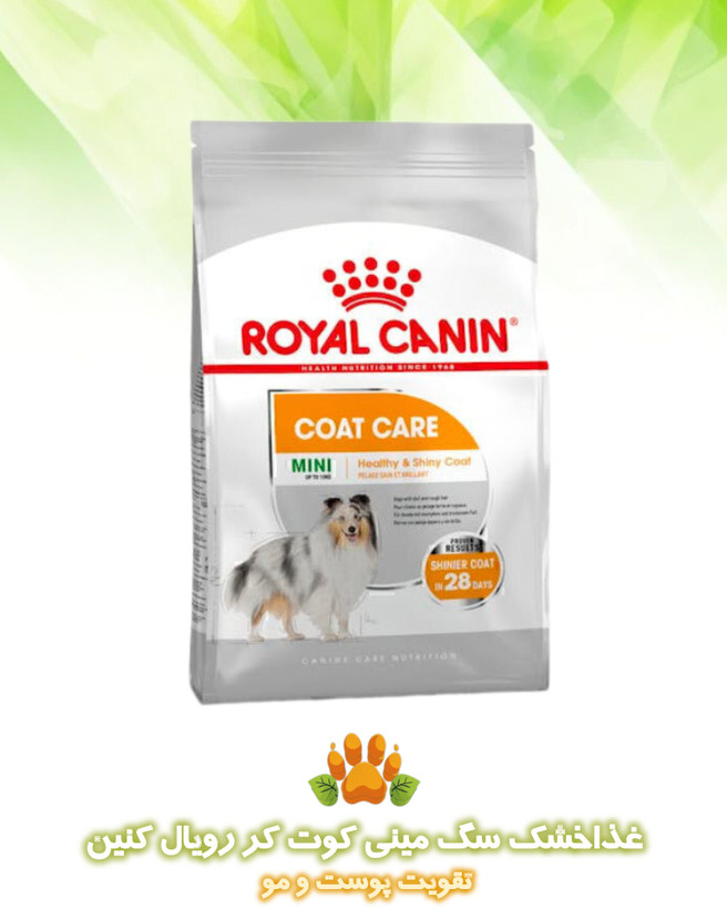 غذاخشک رویال کنین مینی کوت کر