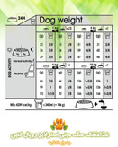 غذاخشک سگ مینی اگزیجنت رویال کنین