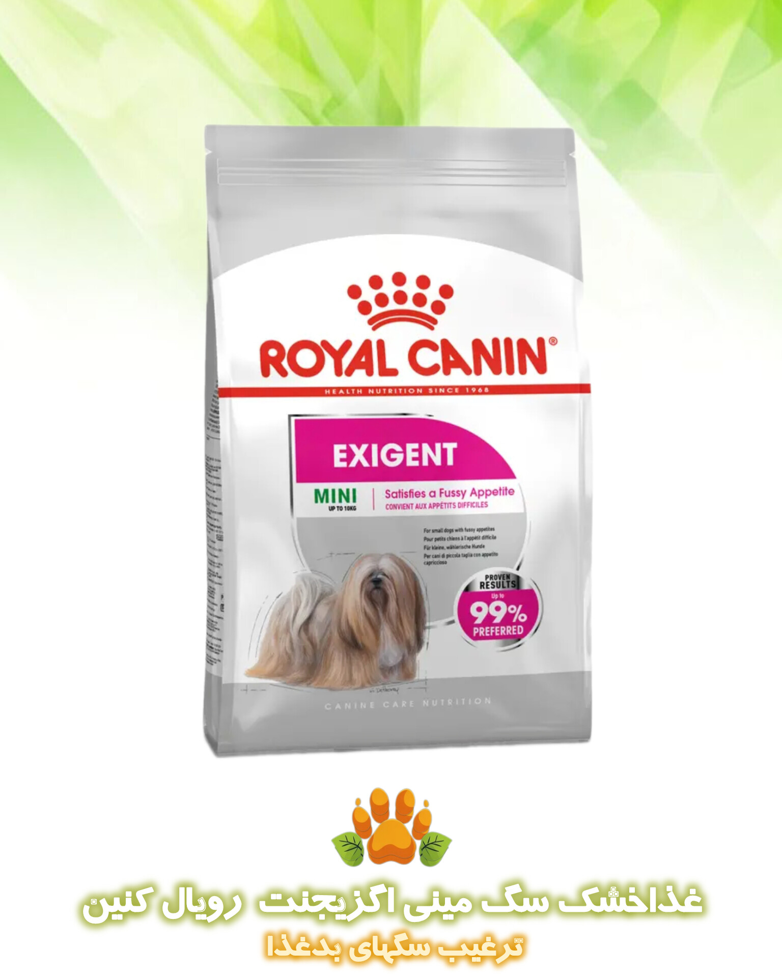غذا خشک سگ مینی اگزیجنت رویال کنین