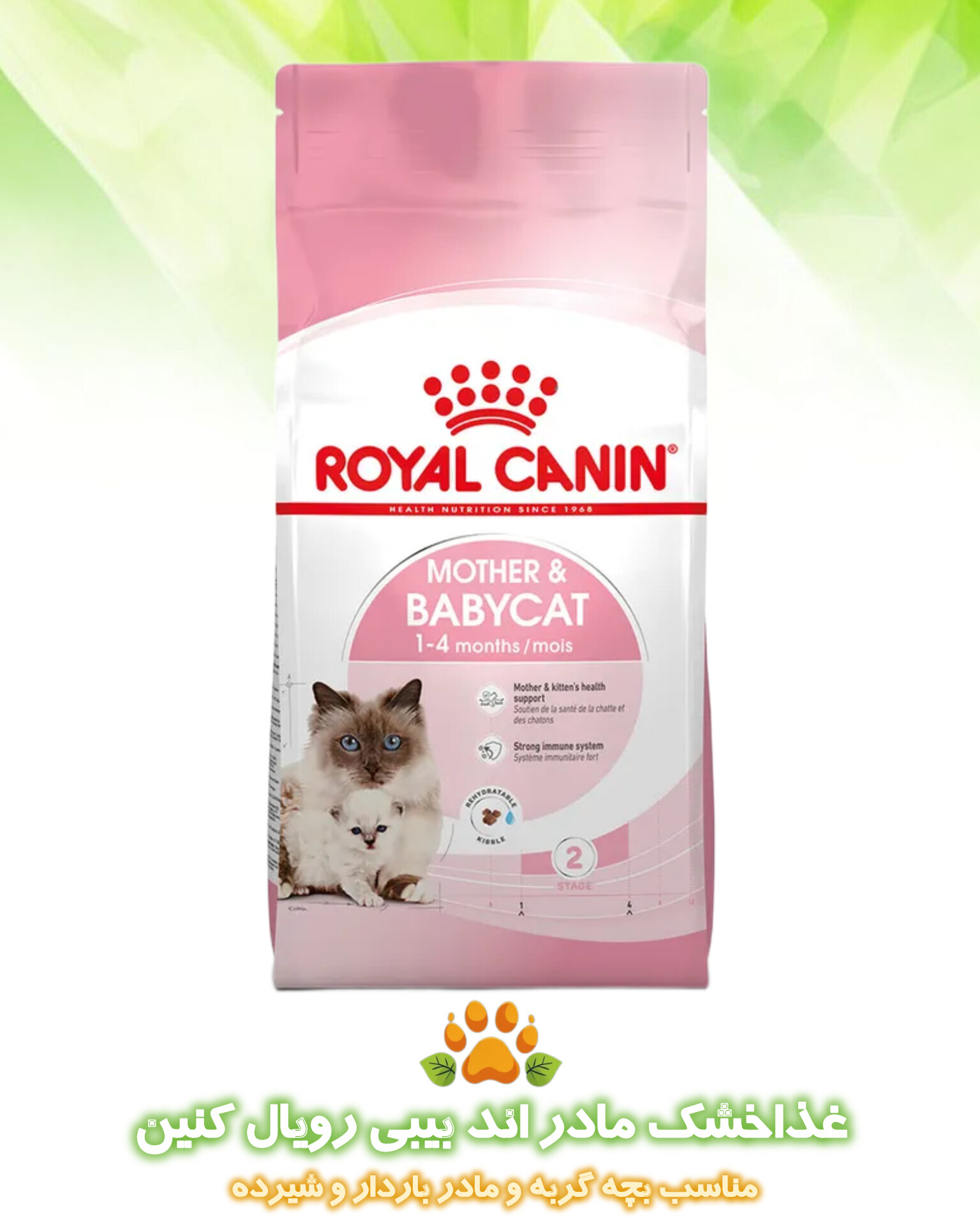 غذا خشک گربه مادر اند بیبی رویال کنین Royal canin mother and babycat