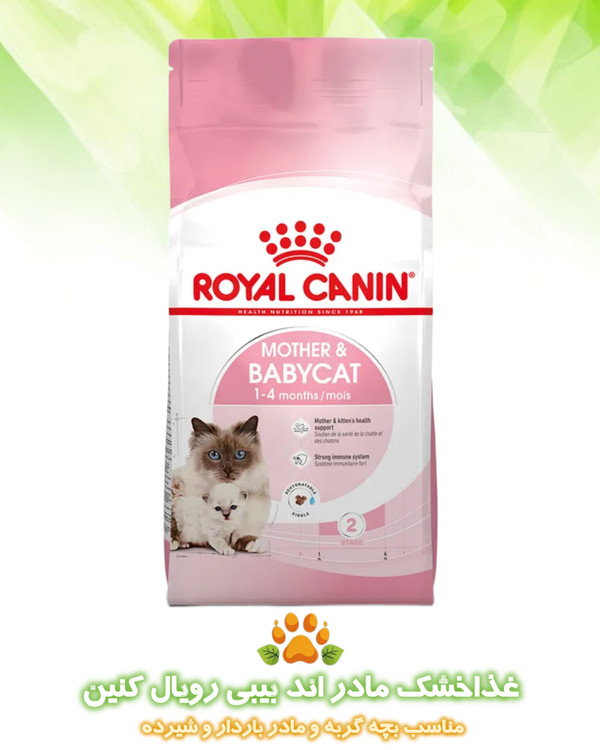 غذا خشک گربه مادر اند بیبی رویال کنین Royal canin mother and babycat