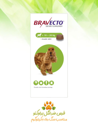 براوکتو هلندی ۱۰ تا ۲۰