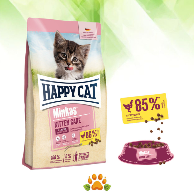 بسته غذاخشک گربه کیتن مینکاس هپی کت