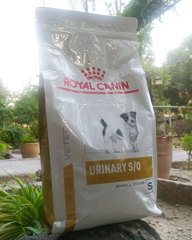 قیمت غذاخشک درمانی یورینری اس او رویال کنین مناسب نژاد کوچک royal canin urinary so