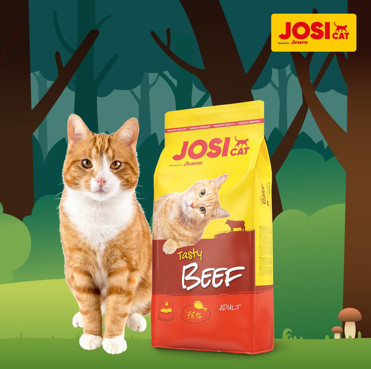غذای خشک گربه جوسی کت با طعم بیف josicat beef