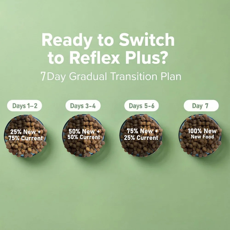 غذای خشک گربه رفلکس پلاس بالغ با طعم مرغ reflex plus adult cat chicken